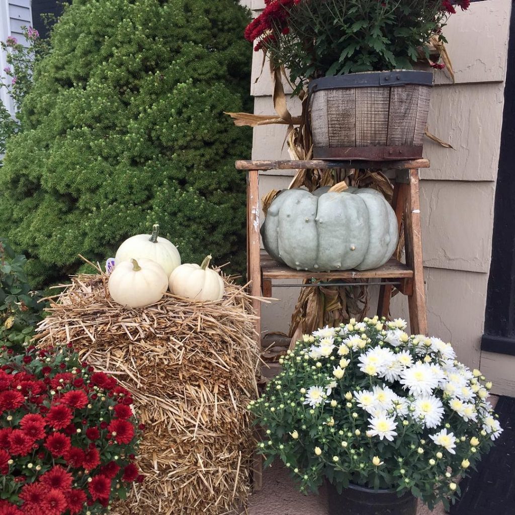 80+ Creative Fall Decoration Ideas With Pumpkins You Will Totally Love (11)