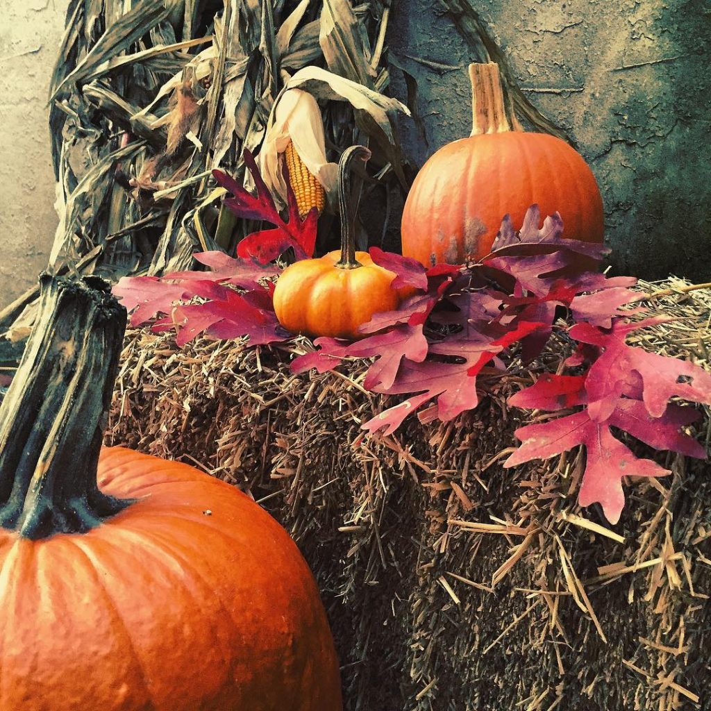 80+ Creative Fall Decoration Ideas With Pumpkins You Will Totally Love (13)