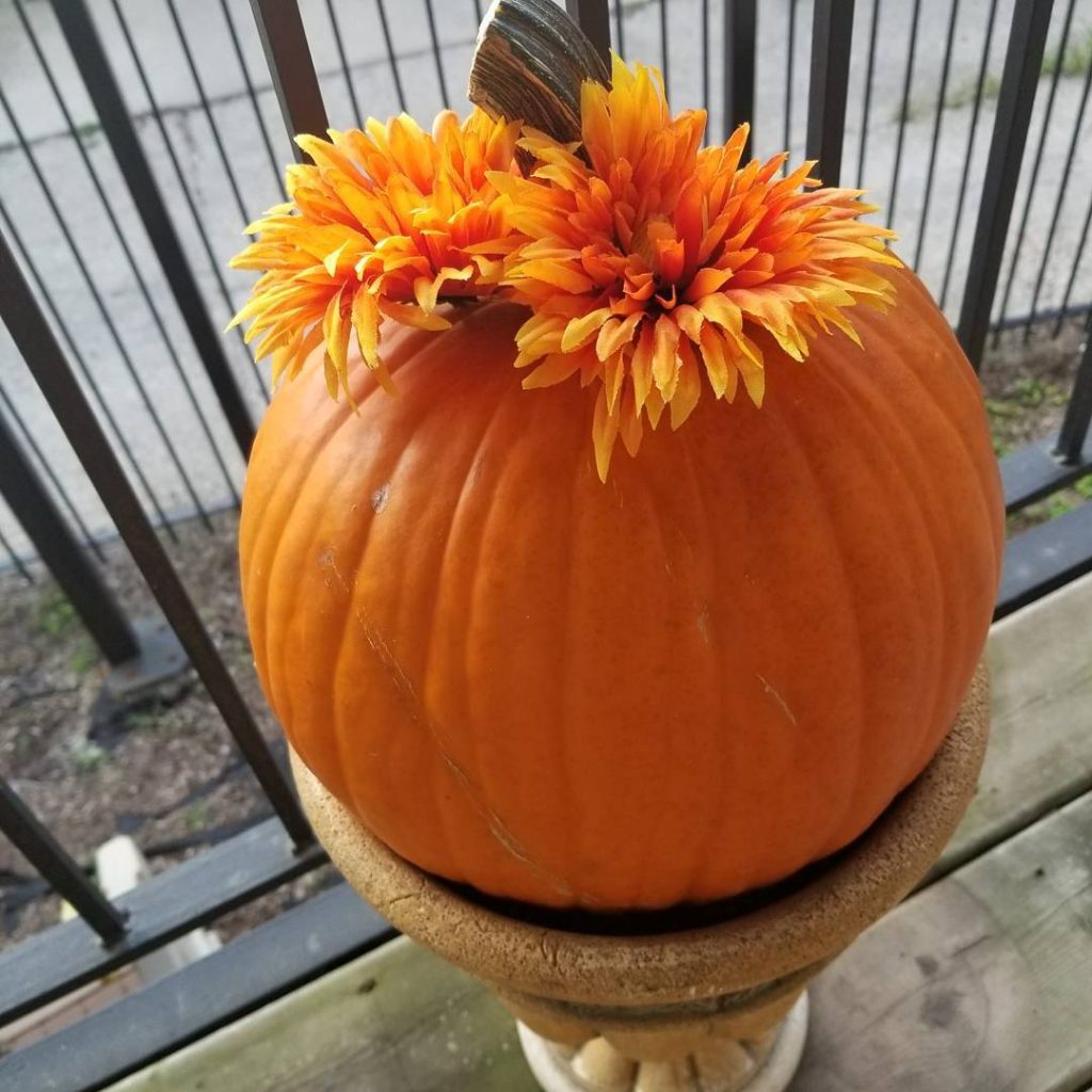 80+ Creative Fall Decoration Ideas With Pumpkins You Will Totally Love (18)