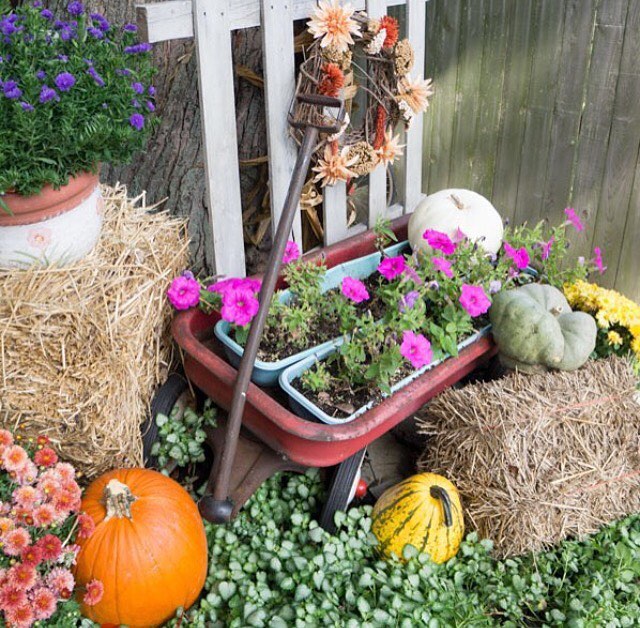 80 Creative Fall Decoration Ideas With Pumpkins You Will Totally Love 2