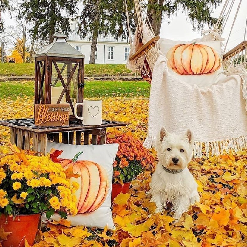 80+ Creative Fall Decoration Ideas With Pumpkins You Will Totally Love (35)