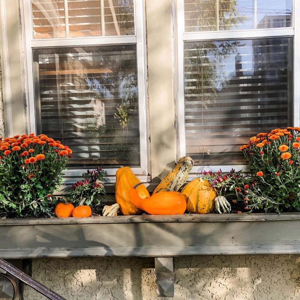 80+ Creative Fall Decoration Ideas With Pumpkins You Will Totally Love (48)