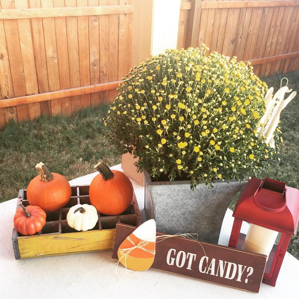 80+ Creative Fall Decoration Ideas With Pumpkins You Will Totally Love (5)