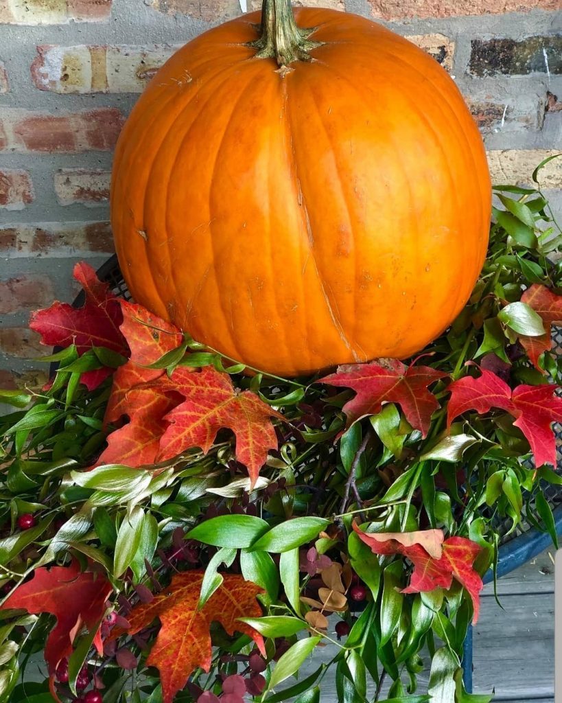 80+ Creative Fall Decoration Ideas With Pumpkins You Will Totally Love (51)