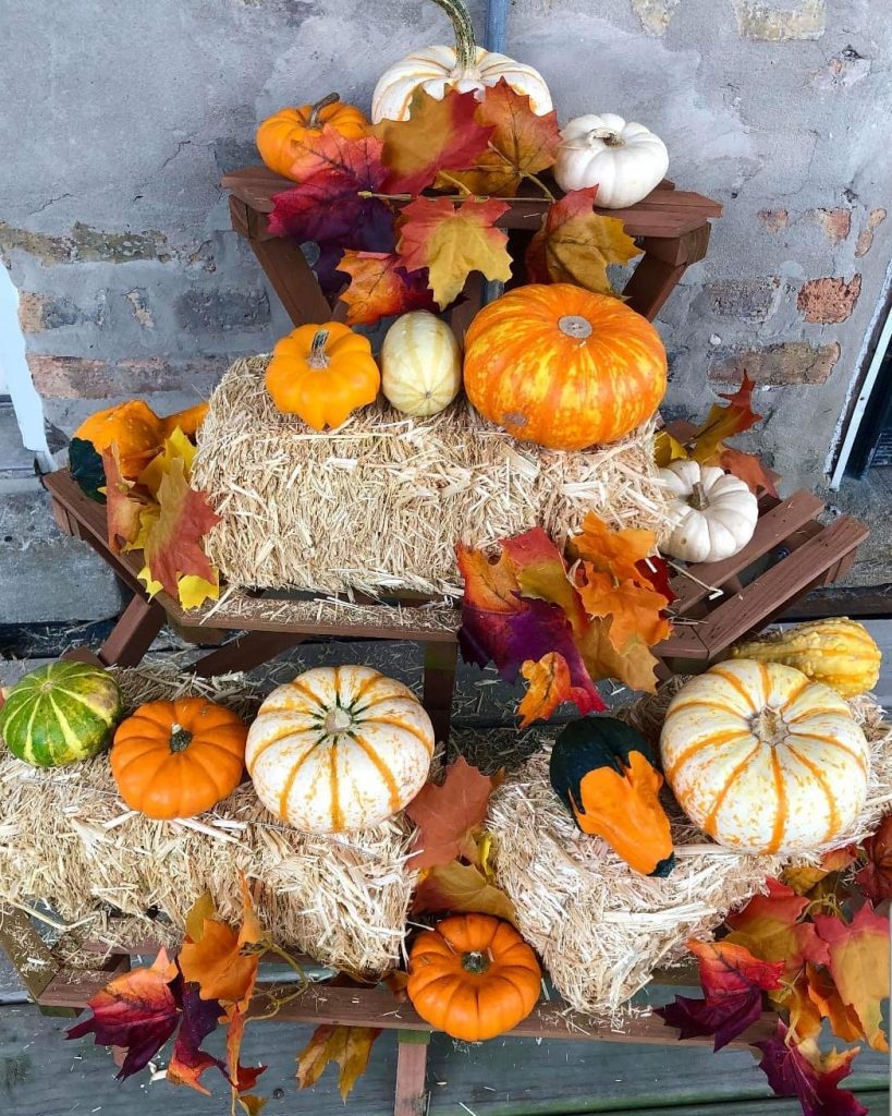 80+ Creative Fall Decoration Ideas With Pumpkins You Will Totally Love (55)