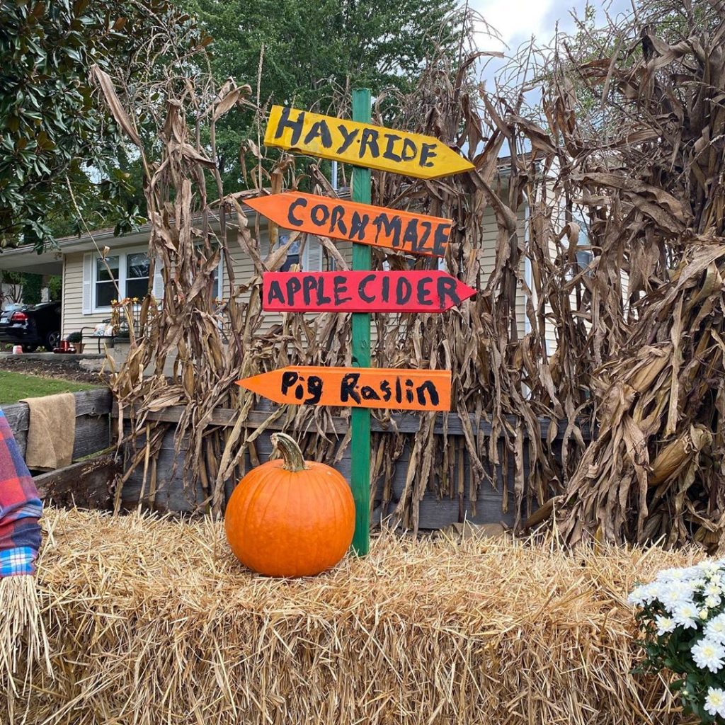 80+ Creative Fall Decoration Ideas With Pumpkins You Will Totally Love (61)