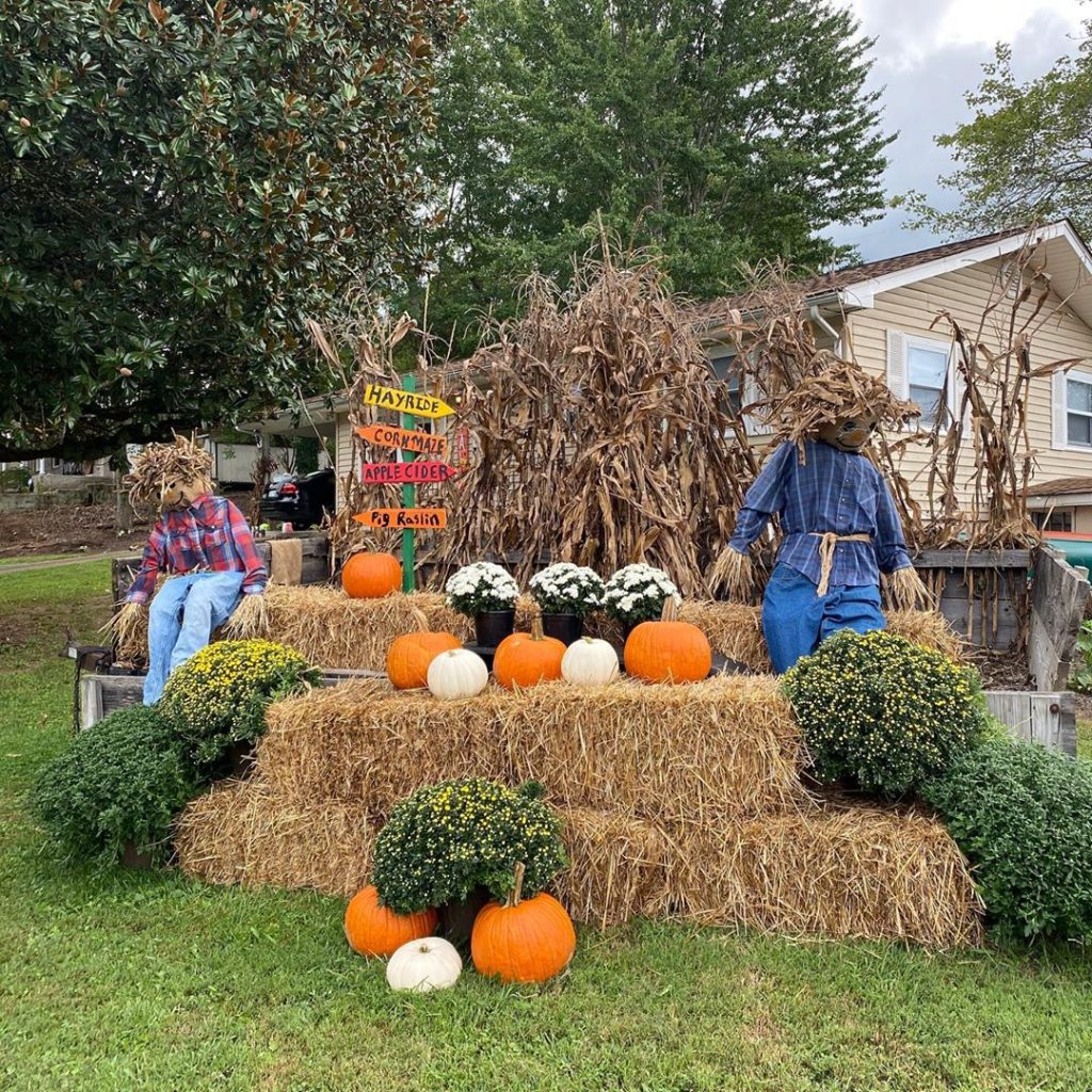 80+ Creative Fall Decoration Ideas With Pumpkins You Will Totally Love (62)