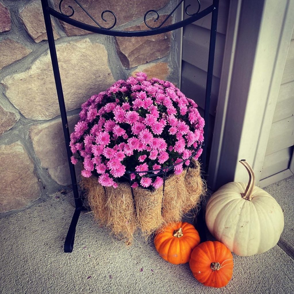 80+ Creative Fall Decoration Ideas With Pumpkins You Will Totally Love (82)