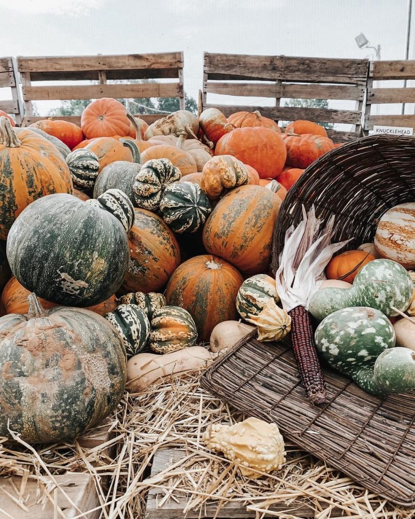 100 Thanksgiving Decoration Ideas Stylize Your Home With Fall Accents 75