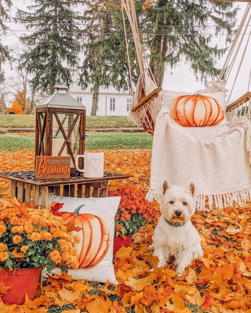 100 Thanksgiving Decoration Ideas Stylize Your Home With Fall Accents 94