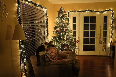 Fabulous Christmas Lighting Decorations For Your Home 29