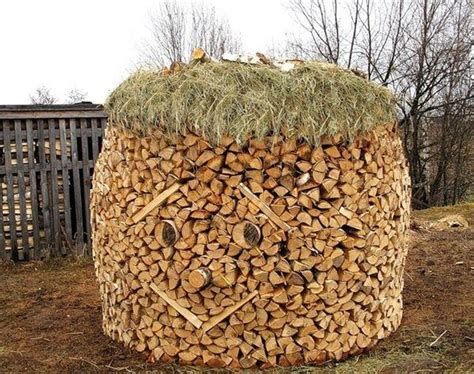 Amazing Wood Yard Art Ideas 07