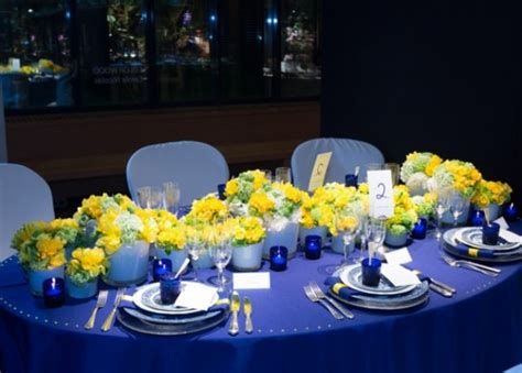 Inspiring Blue And Yellow Party Decoration Ideas 41